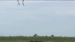 Кадры уничтожения бронированной техники, артиллерийских и минометных батарей, п…